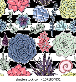 Succulents seamless striped pattern. Succulent ornament with sripes.  
.  Natural composition. Colored succulents and cactus floral print. Hand drawn art work.
