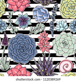 Succulents seamless striped pattern. Succulent ornament with sripes.  
.  Natural composition. Colored succulents and cactus floral print. Hand drawn art work.
