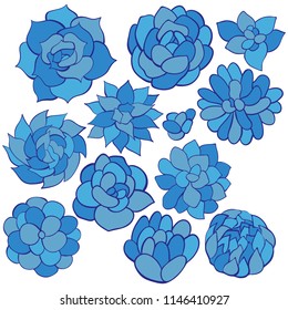 Succulents. Set of blue hand drawn vector succulents isolated on white background