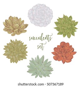 Succulents set. Collection decorative floral design elements for wedding invitations and birthday cards. Isolated elements. Vintage hand drawn vector illustration in watercolor style.