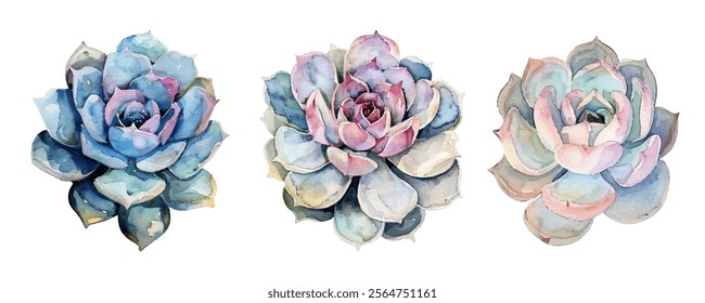 Succulents set featuring vibrant, detailed plants in various colors. Perfect for botanical art lovers, home decor, and design projects.