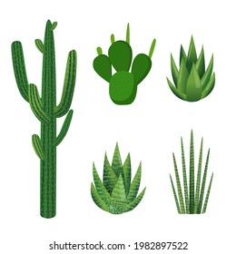 Succulents. Set of green plants. Vector illustration of aloe, cactus, haworthia, sansevieria isolated on white background. Trendy decor with plants, urban jungle.