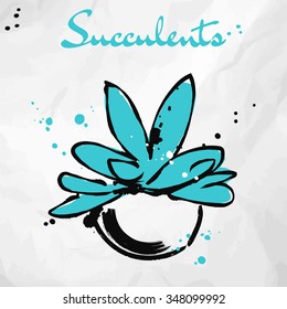 Succulents. Sketch. Vector isolated illustration. 