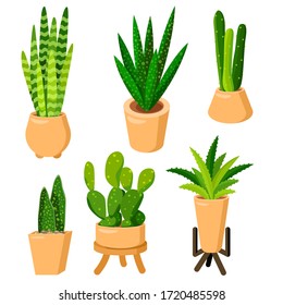 Succulents sticker set on white isolated backdrop. House plant icons for gift card, home plants store logo, bath tile, web landing page. Phone case or cloth print. Flat style stock vector illustration