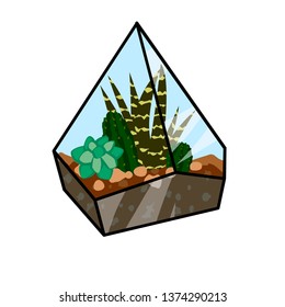 succulents in a terrarium