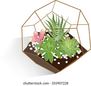 succulents terrarium