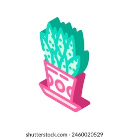 succulents urban gardening isometric icon vector. succulents urban gardening sign. isolated symbol illustration
