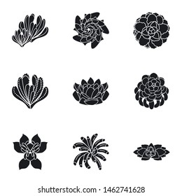 Succulents vector icon set. Simple set of 9 succulents vector icons for web design isolated on white background