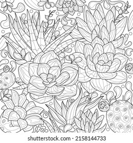  Succulents.Coloring book antistress for children and adults. Illustration isolated on white background.Zen-tangle style. 