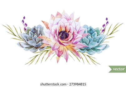  succulentus watercolor flowers element