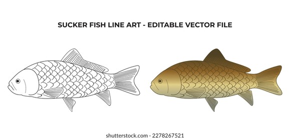 Sucker Fish line art drawing. Sucker Fish vector by hand drawing. Black and white fish vector on white background. Fish illustration set sketch for coloring book.