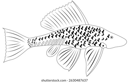 pez lechón, Vector, ilustración de contorno Sakar pez blanco y negro