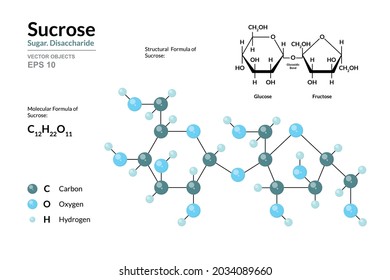 Sucrose. Cane Sugar. Disaccharide. Structural Chemical Formula and Molecule 3d Model. C12H22O11. Atoms with Color Coding. Vector Illustration 