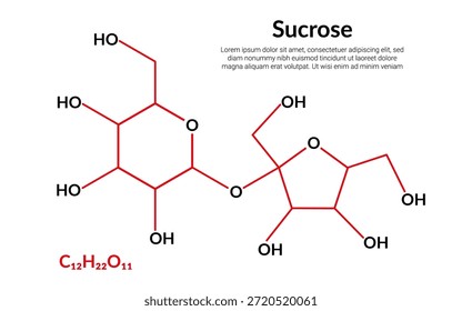 Sacarosa, disacárido, fórmula de estructura molecular, adecuada para contenido de educación o ciencia química. Ilustración vectorial