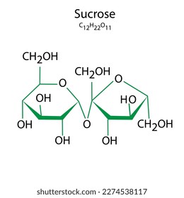 Saccharose-Formel. Wissenschaftskonzept. Vektorgrafik.