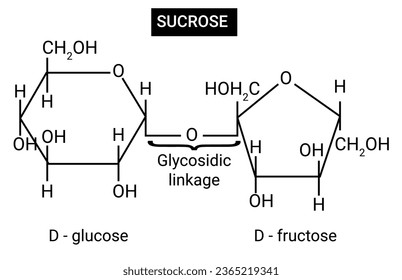Sucrose is a molecule composed of two monosaccharides, namely glucose and fructose