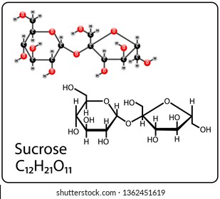 Sucrose Molecule Structure