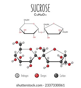 Sucrose representation. Skeletal formula and 2d structure illustration. Web style illustration. Vector editable