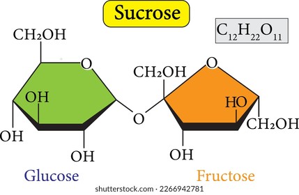Sucrose or saccharose is a disaccharide composed of glucose and fructose  svg