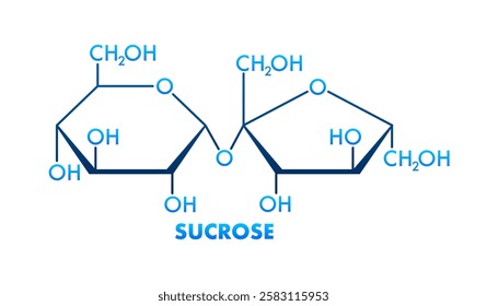 Sucrose skeletal formula showing glucose and fructose forming glycosidic bond