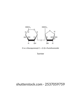 Sucrose skeletal structure diagram.Disaccharide compound molecule scientific illustration.
