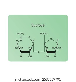 Sucrose skeletal structure diagram.Disaccharide compound molecule scientific illustration.