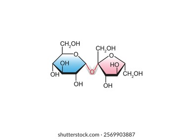 Sucrose Sugar Molecule Science Design. Vector Illustration.