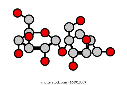 Sucrose (table sugar, saccharose) molecule. Disaccharide composed of glucose and fructose. Haworth-like projection; oxygen (red) and carbon (gray) atoms shown as color-coded circles.