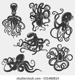 Suction cups on octopus tentacle. Cephalopod swimming set and underwater mollusk, isolated ocean monster, cuttlefish animal.