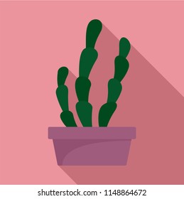 Suculent cactus pot icon. Flat illustration of suculent cactus pot vector icon for web design