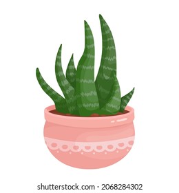 Suculent plant in a pink ceramic pot. Exotic prickly plant. Vector graphics.