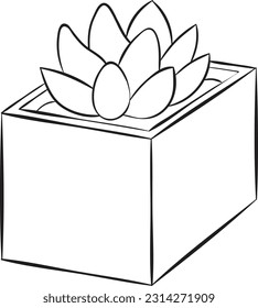 Suculent pot Black and white vector line art