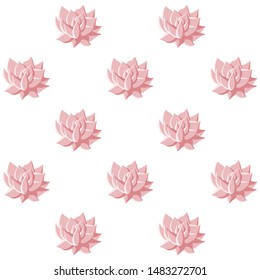 suculents or flowers seamless pattern. Vector illustration.