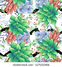 Sucullent pattern design. Trendy flower gradients. Vector cactus illustration.