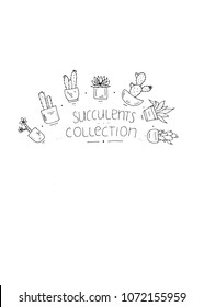 Sucullents doodle collection