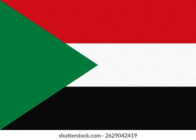 Sudan flag with paper texture wall background. Vector illustration 