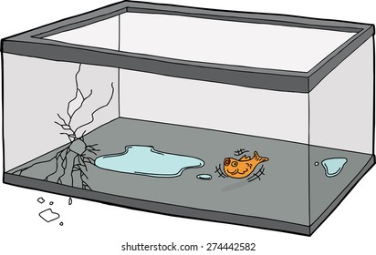 Suffocating goldfish flopping in empty fish tank