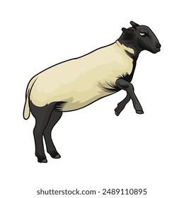 Suffolk sheep Farm animals Flat vector illustration Isolated object set-1
