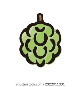 Sugar apple - Fruits icon (Hand-drawn line, colored version)