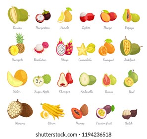 Sugar apple and guava set vector. Bael mango, pitaya and jackfruit, salak coconut. Ambarella and rambutan, guava and durian slices, tropical fruits