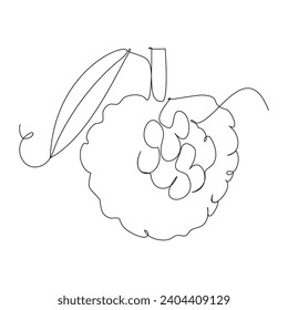 sugar apple tropical fruit continuous line drawing vector for nature design element concept