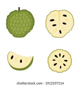 Sugar apple, whole fruit, slice. Ripe cherimoya (custard apple). Annona, vector illustration