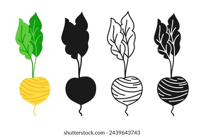 Sugar beet linear icon, cartoon symbol set. Hand Drawn food silhouette shape, doodle beetroot. Diet nutrition simple icon design element. Beetroots symbol sign for infographic website app logo. Vector