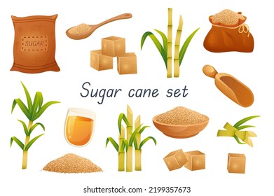 Sugar cane 3d realistic set. Bundle of bags, sugar cubes, granular sweetener on spoon or plate, sugarcane leaf plants, rum alcoholic liquid in glass and other isolated elements.Vector illustration