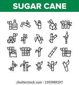 Sugar Cane Agriculture Collection Icons Set Vector Thin Line. Rum Bottle, Water Glass, Bio Organic Sugar Sweet Nutrition Concept Linear Pictograms. Monochrome Contour Illustrations