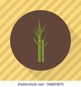 Sugar cane agriculture crop. Color flat icon