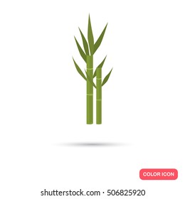 Sugar Cane Agriculture Crop. Color Flat Icon