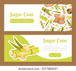 Sugar Cane Banner Design with Stem Plant Vector Template