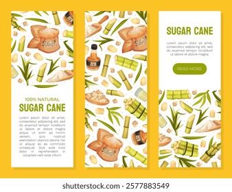 Sugar Cane Banner Design with Stem Plant Vector Template