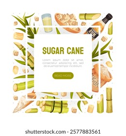 Sugar Cane Banner Design with Stem Plant Vector Template